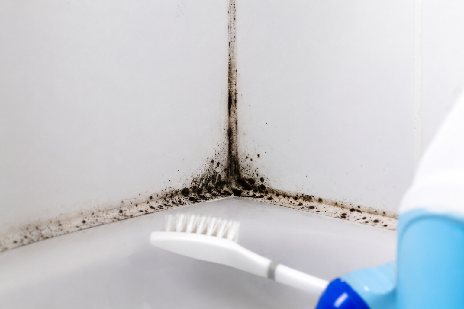 manchas negras en silicona de la ducha